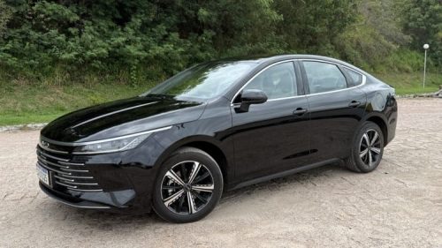 BYD KING - CHOFER DAS NOIVAS