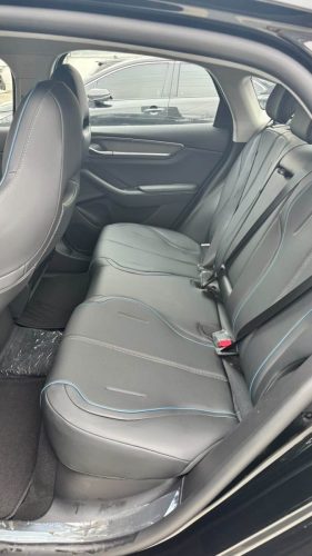 BYD KING - CHOFER DAS NOIVAS