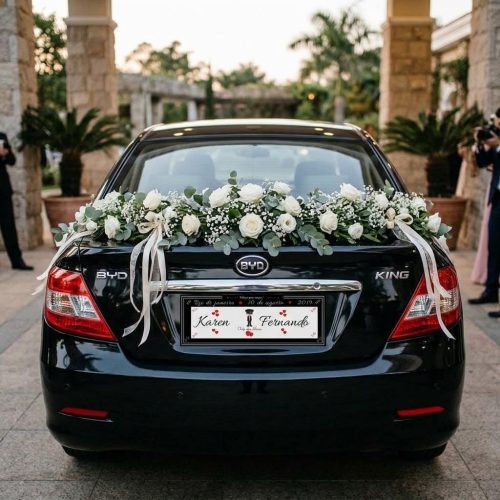 BYD KING - CHOFER DAS NOIVAS